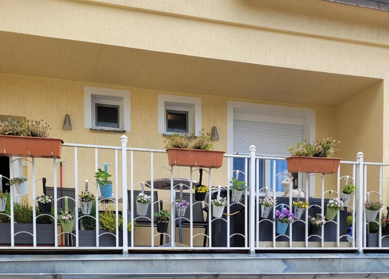 Pension RELAX U Komína Františkovy Lázně Exterior foto